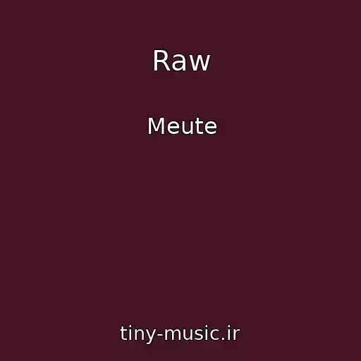 کاور آهنگ Raw از Meute