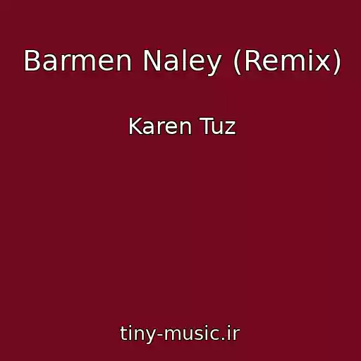 کاور آهنگ Barmen Naley (Remix) از Karen Tuz
