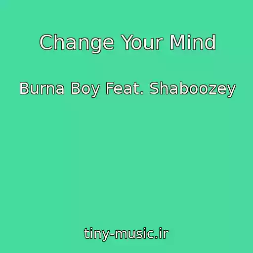 کاور آهنگ Change Your Mind از Burna Boy Feat. Shaboozey