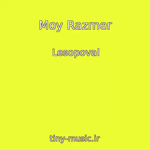 کاور آهنگ Moy Razmer از Lesopoval