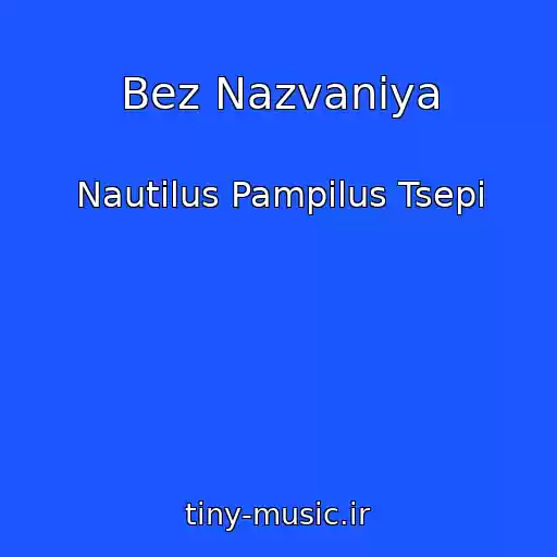 کاور آهنگ Bez Nazvaniya از Nautilus Pampilus Tsepi