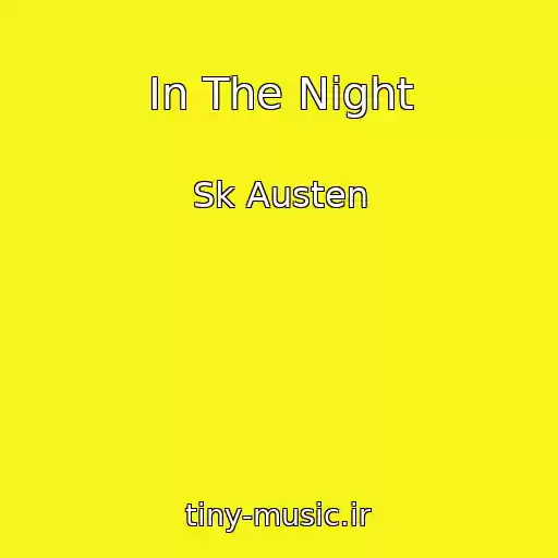 کاور آهنگ In The Night از Sk Austen