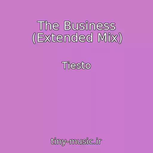 کاور آهنگ The Business (Extended Mix) از Tiesto