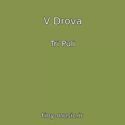 کاور آهنگ V Drova از Tri Puli