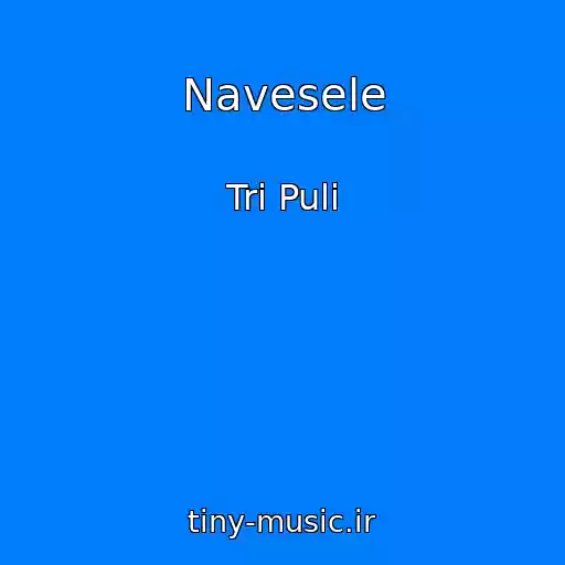 کاور آهنگ Navesele از Tri Puli