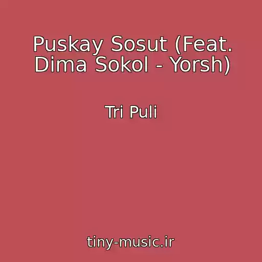 کاور آهنگ Puskay Sosut (Feat. Dima Sokol - Yorsh) از Tri Puli