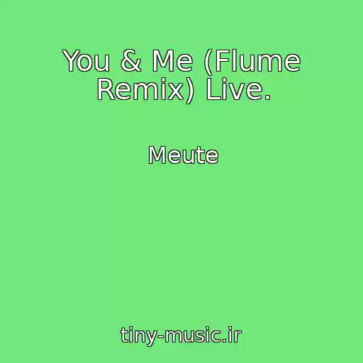 کاور آهنگ You & Me (Flume Remix) Live. از Meute