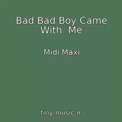 کاور آهنگ Bad Bad Boy Came With  Me از Midi Maxi