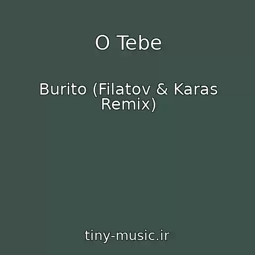 کاور آهنگ O Tebe از Burito (Filatov & Karas Remix)