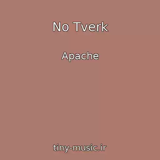 کاور آهنگ No Tverk از Apache