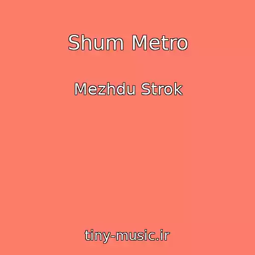 کاور آهنگ Shum Metro از Mezhdu Strok