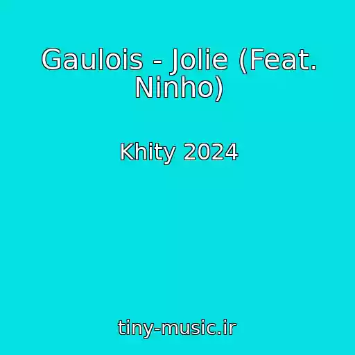 کاور آهنگ Gaulois - Jolie (Feat. Ninho) از Khity 2024