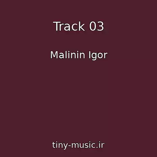 کاور آهنگ Track 03 از Malinin Igor