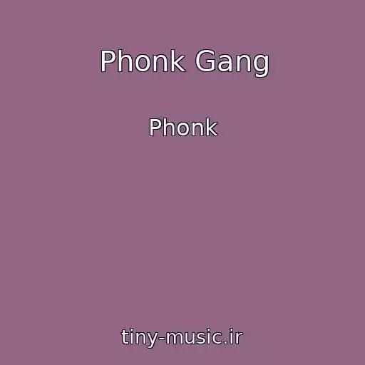 کاور آهنگ Phonk Gang از Phonk