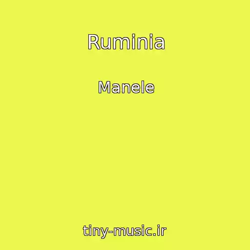 کاور آهنگ Ruminia از Manele