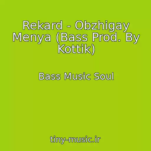 کاور آهنگ Rekard - Obzhigay Menya (Bass Prod. By Kottik) از Bass Music Soul