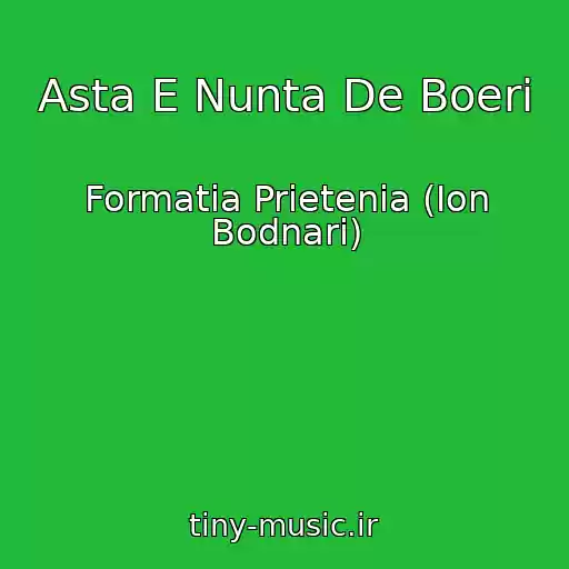 کاور آهنگ Asta E Nunta De Boeri از Formatia Prietenia (Ion Bodnari)