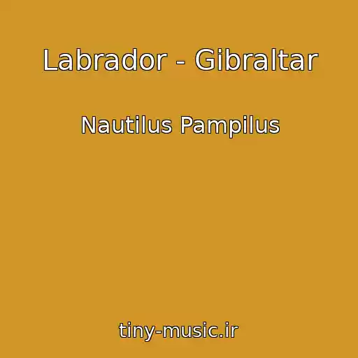 کاور آهنگ Labrador - Gibraltar از Nautilus Pampilus