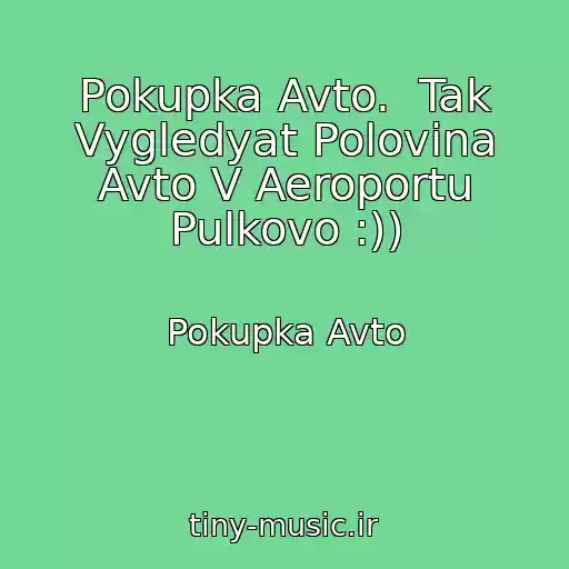 کاور آهنگ Pokupka Avto.  Tak Vygledyat Polovina Avto V Aeroportu Pulkovo :)) از Pokupka Avto
