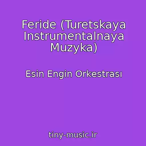 کاور آهنگ Feride (Turetskaya Instrumentalnaya Muzyka) از Esin Engin Orkestrası