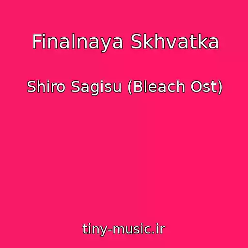 کاور آهنگ Finalnaya Skhvatka از Shiro Sagisu (Bleach Ost)