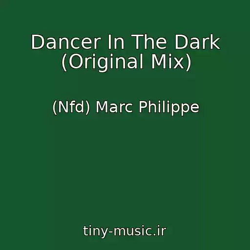 کاور آهنگ Dancer In The Dark (Original Mix) از (Nfd) Marc Philippe