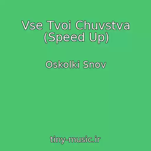 کاور آهنگ Vse Tvoi Chuvstva (Speed Up) از Oskolki Snov