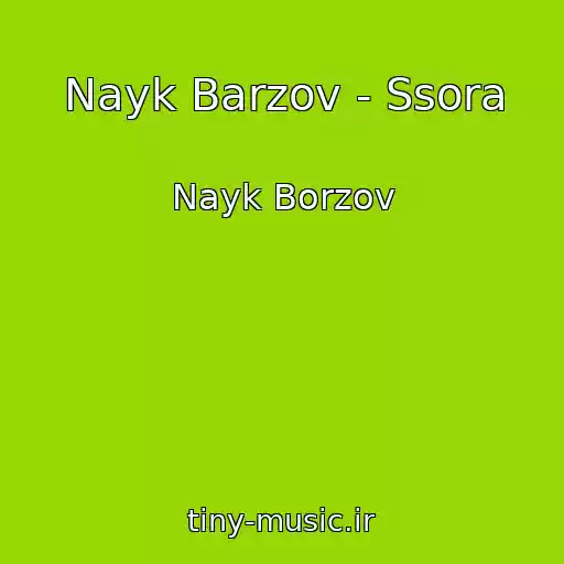 کاور آهنگ Nayk Barzov - Ssora از Nayk Borzov