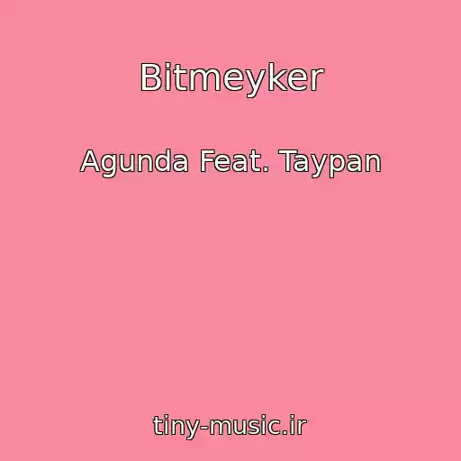 کاور آهنگ Bitmeyker از Agunda Feat. Taypan
