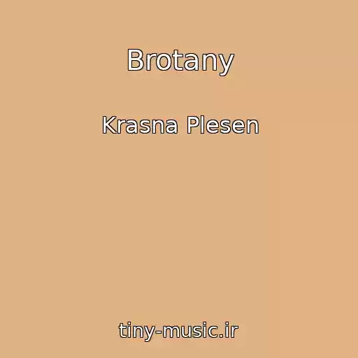 کاور آهنگ Brotany از Krasna Plesen