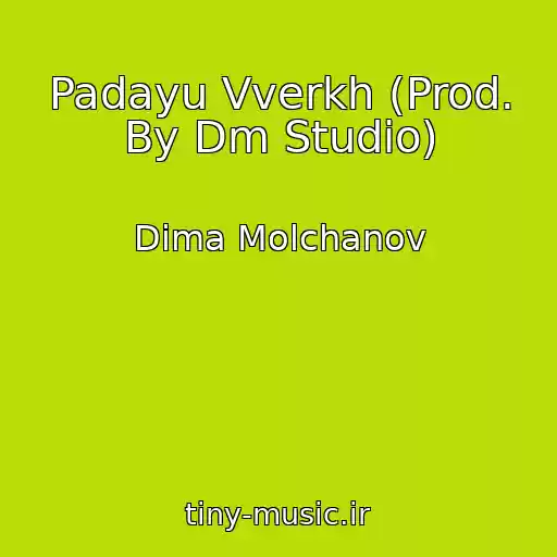 کاور آهنگ Padayu Vverkh (Prod. By Dm Studio) از Dima Molchanov