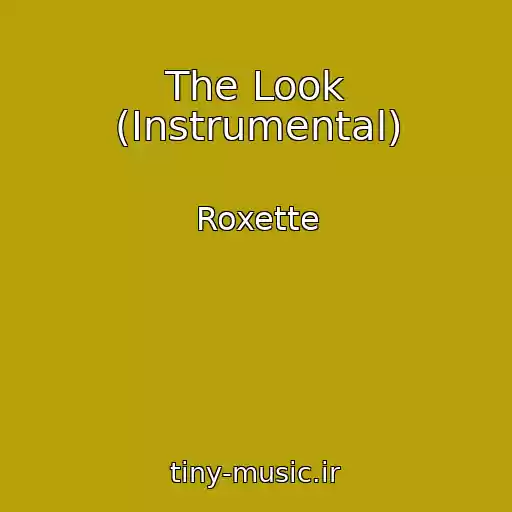 کاور آهنگ The Look (Instrumental) از Roxette