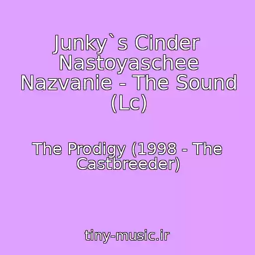 کاور آهنگ Junky`s Cinder Nastoyaschee Nazvanie - The Sound (Lc) از The Prodigy (1998 - The Castbreeder)