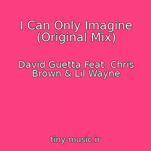 کاور آهنگ I Can Only Imagine (Original Mix) از David Guetta Feat. Chris Brown & Lil Wayne