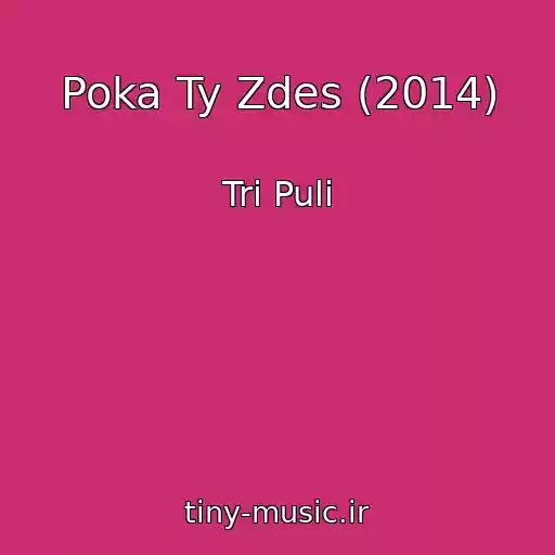 کاور آهنگ Poka Ty Zdes (2014) از Tri Puli
