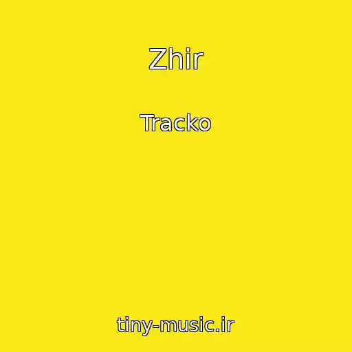 کاور آهنگ Zhir از Tracko
