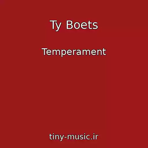 کاور آهنگ Ty Boets از Temperament