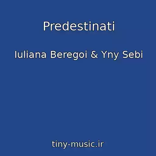 کاور آهنگ Predestinati از Iuliana Beregoi & Yny Sebi