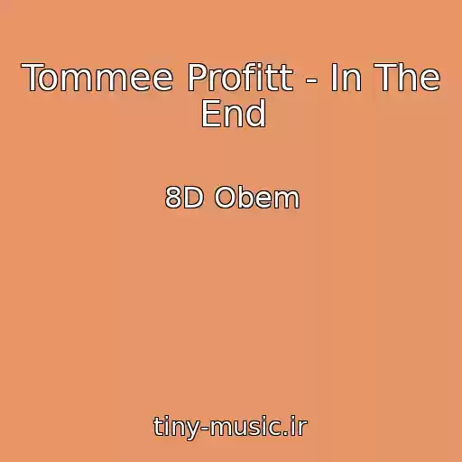 کاور آهنگ Tommee Profitt - In The End از 8D Obem