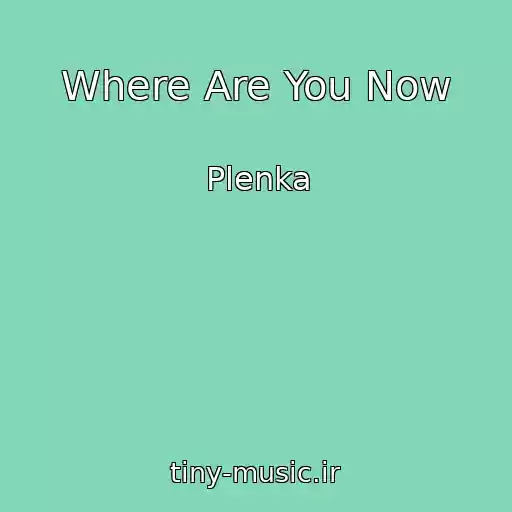 کاور آهنگ Where Are You Now از Plenka