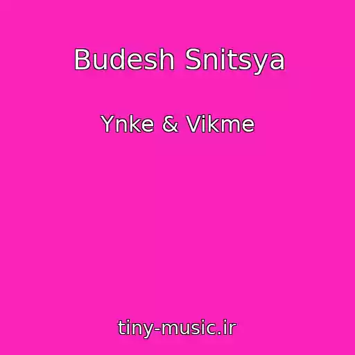 کاور آهنگ Budesh Snitsya از Ynke & Vikme