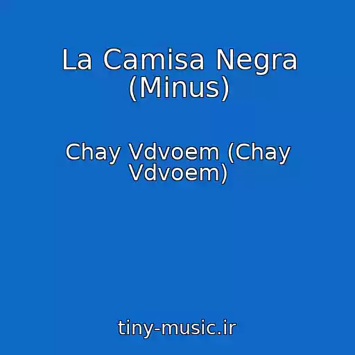 کاور آهنگ La Camisa Negra (Minus) از Chay Vdvoem (Chay Vdvoem)