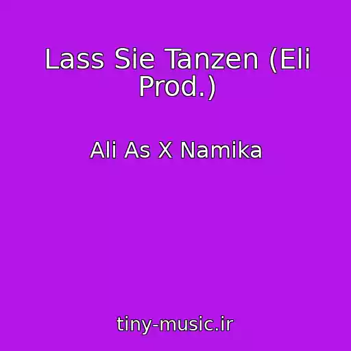 کاور آهنگ Lass Sie Tanzen (Eli Prod.) از Ali As X Namika