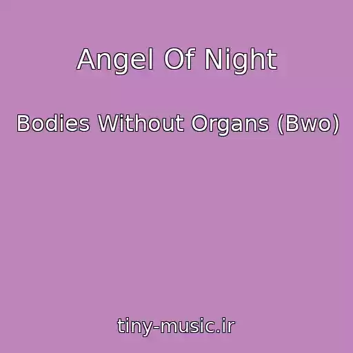 کاور آهنگ Angel Of Night از Bodies Without Organs (Bwo)