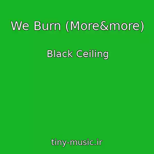کاور آهنگ We Burn (More&more) از Black Ceiling