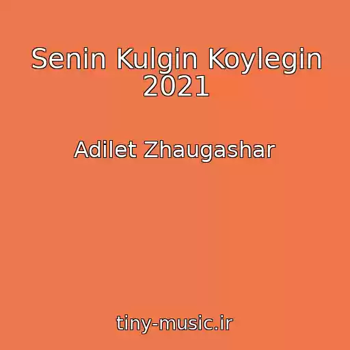 کاور آهنگ Senin Kulgin Koylegin 2021 از Adilet Zhaugashar