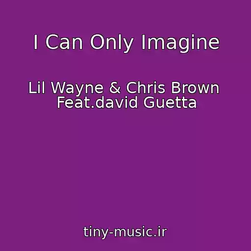 کاور آهنگ I Can Only Imagine از Lil Wayne & Chris Brown  Feat.david Guetta