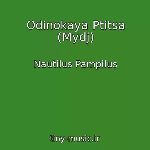 کاور آهنگ Odinokaya Ptitsa (Mydj) از Nautilus Pampilus