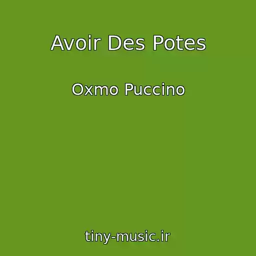 کاور آهنگ Avoir Des Potes از Oxmo Puccino