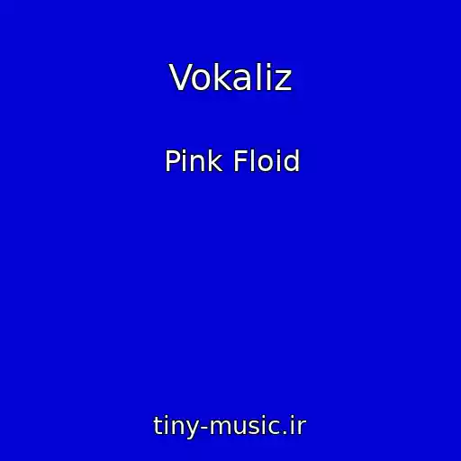 کاور آهنگ Vokaliz از Pink Floid
